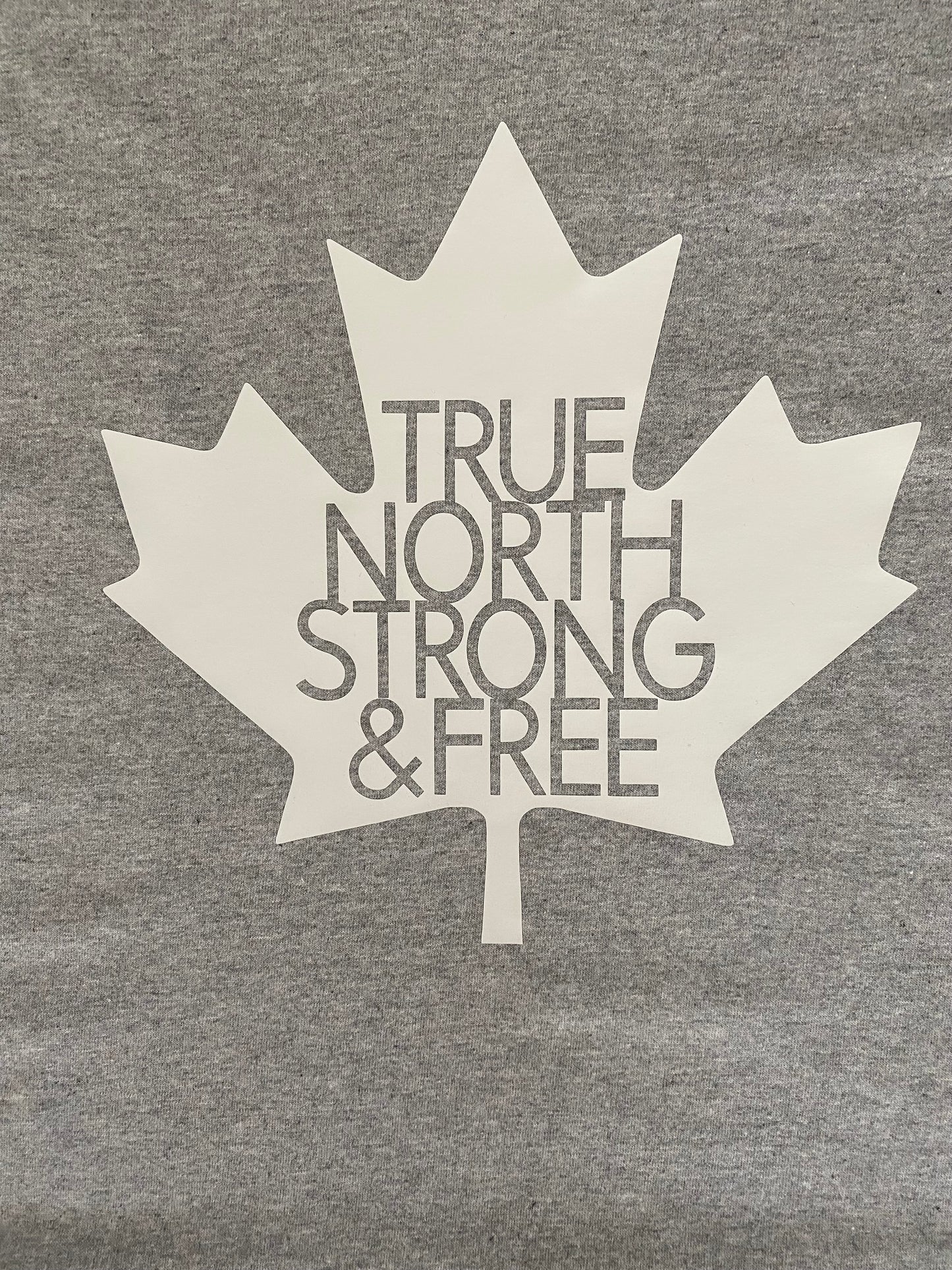 True North Adult T-Shirt (Grey)