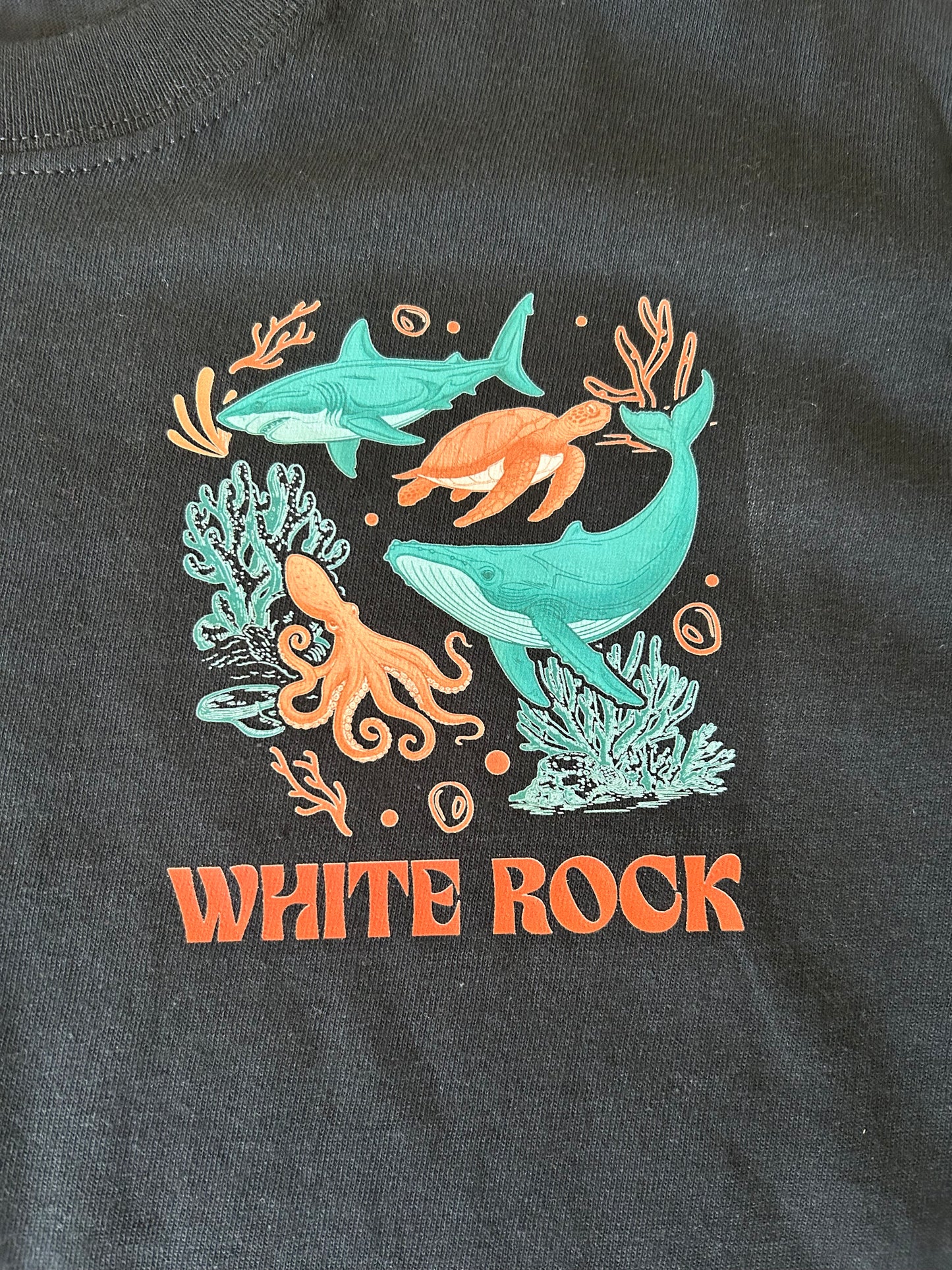 Respect The Locals WHITE ROCK Crew Sweatshirt
